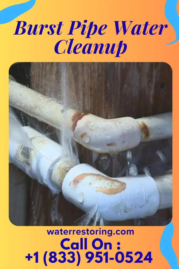Burst Pipe Water Cleanup in Millwood, PA