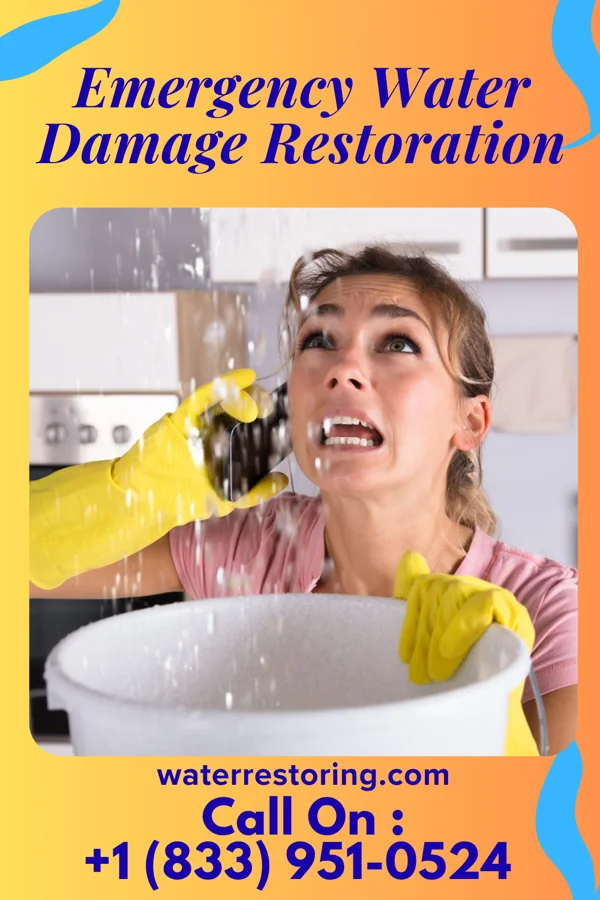 Emergency Water Damage Restoration in Millwood, PA