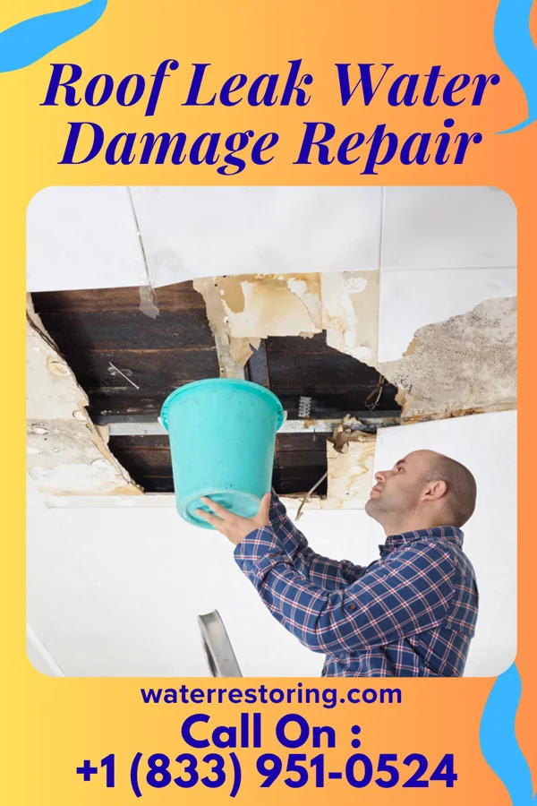 Roof Leak Water Damage Repair in Millwood, PA